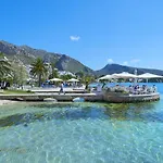 Owl Alvarez - 5 Min Walk To Old Town Center