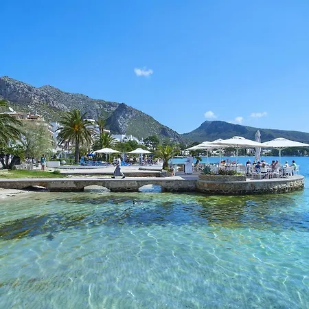 Owl Alvarez - 5 Min Walk To Old Town Center